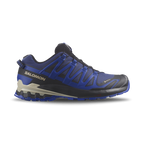 Salomon 1001194 XA Pro v9 GTX Shoe