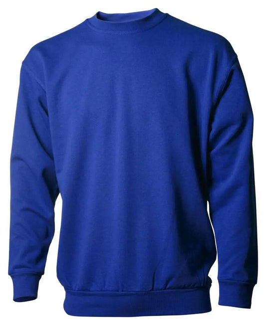 Sweatshirt No Label No Label