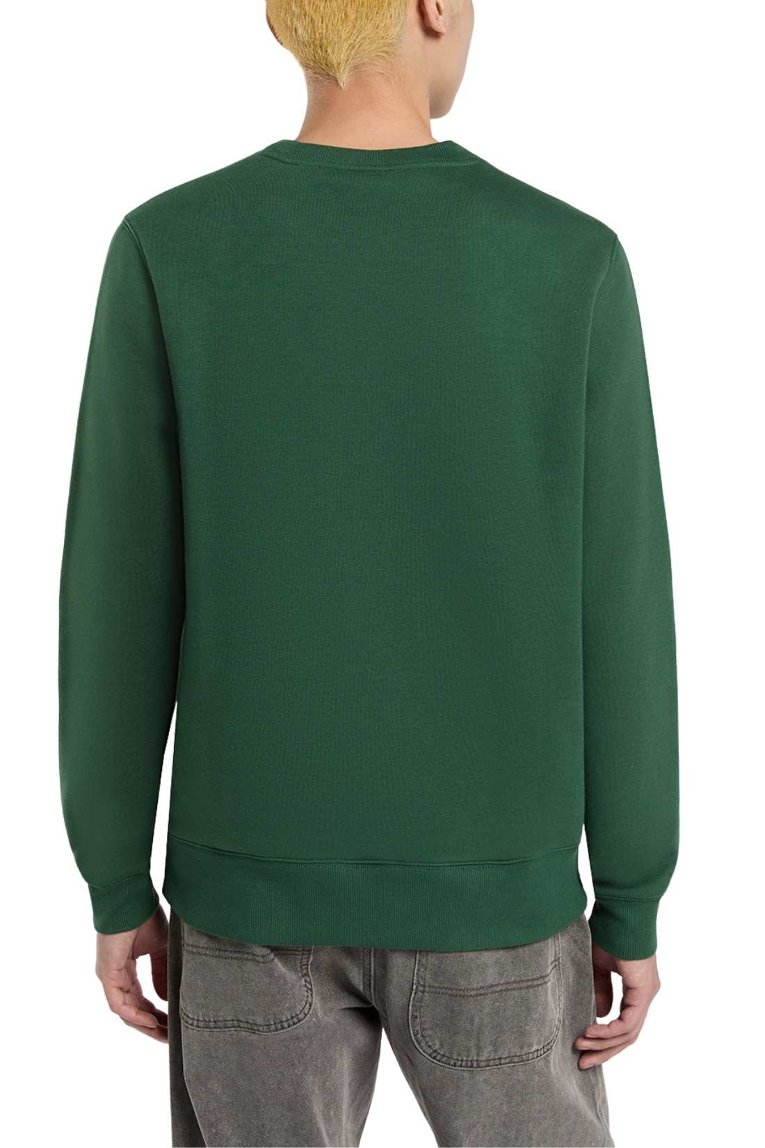 DICKIES - Men's winter crewneck Oakport sweatshirt  - Size XL-18