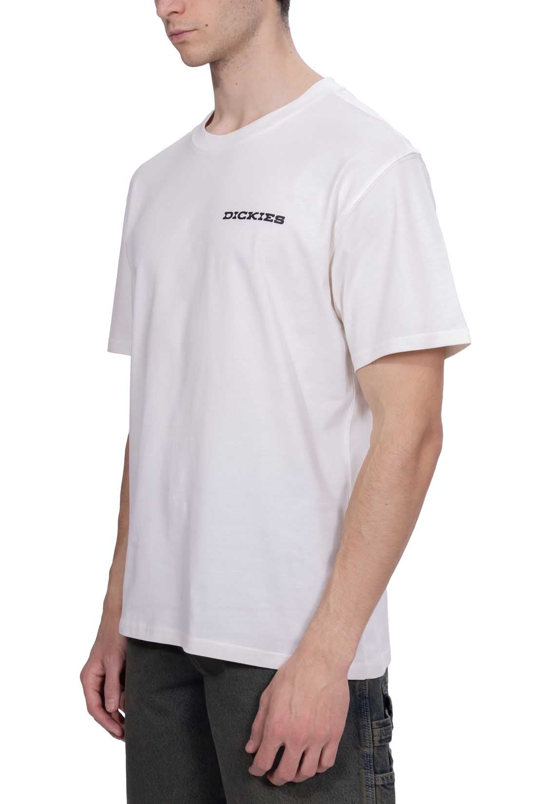DICKIES - T-Shirt uomo Landscape-1