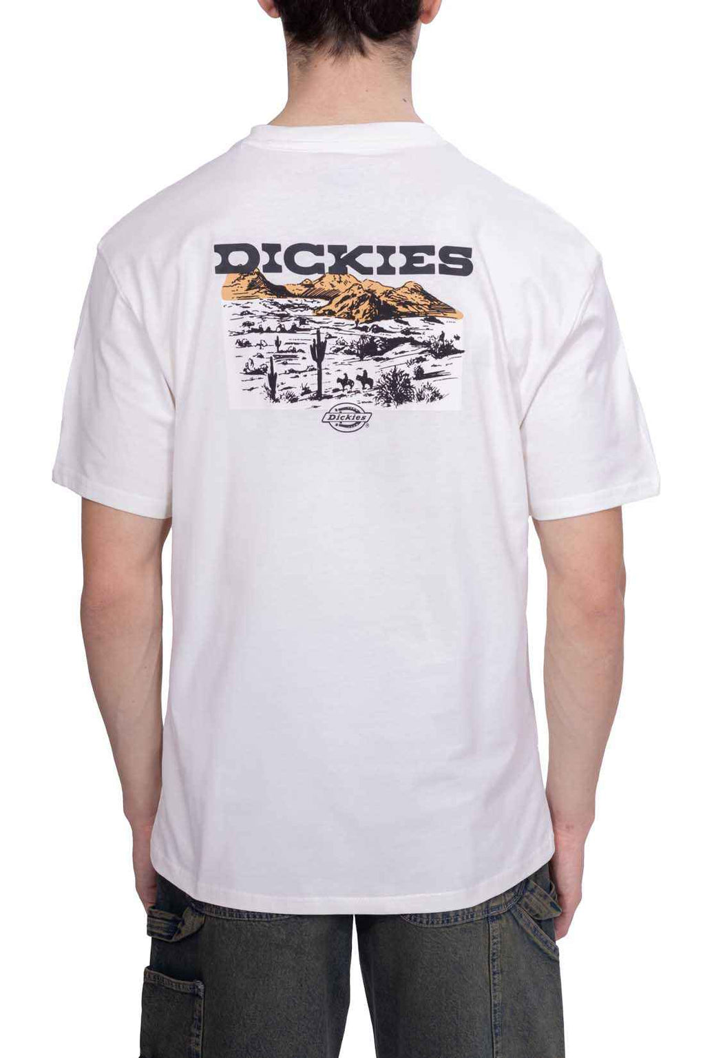 DICKIES - T-Shirt uomo Landscape