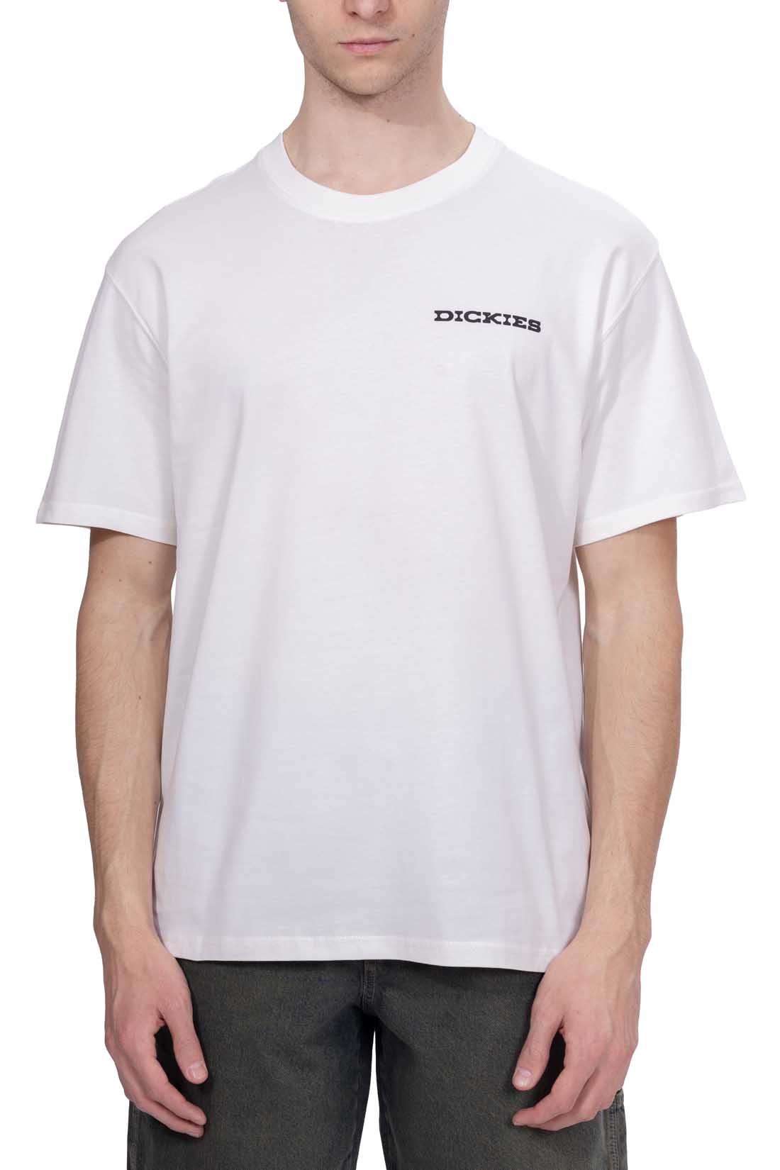 DICKIES - T-Shirt uomo Landscape-10