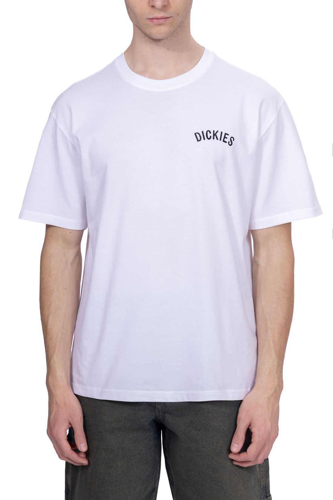 DICKIES - Men's Snake T-shirt  - Size L-26