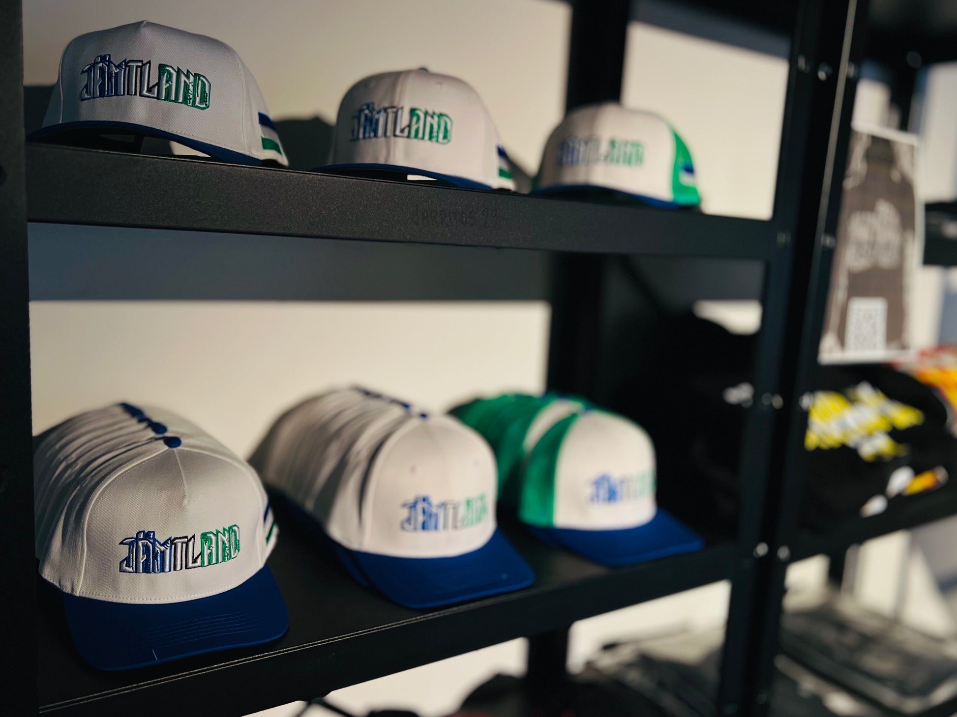 JÄMTLAND SNAPBACK – LIMITED EDITION ArtbyBearded