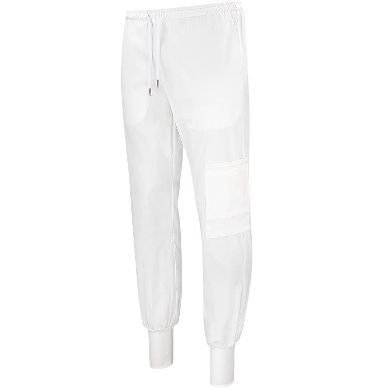 Dion Easy Pant Texstar