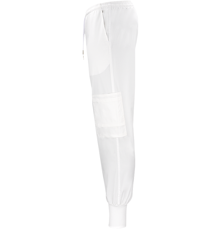 Dion Easy Pant Texstar