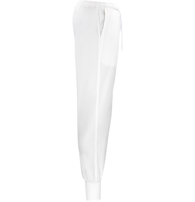 Dion Easy Pant Texstar