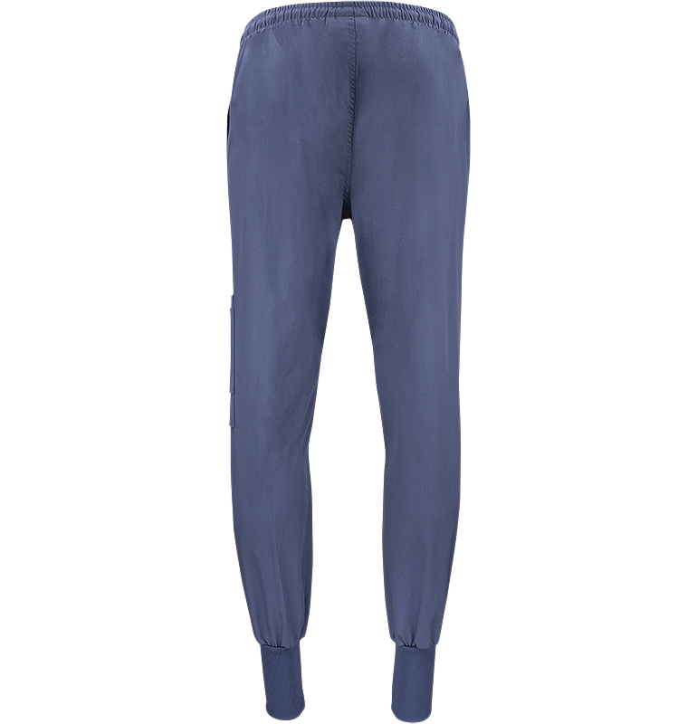 Dion Easy Pant Texstar