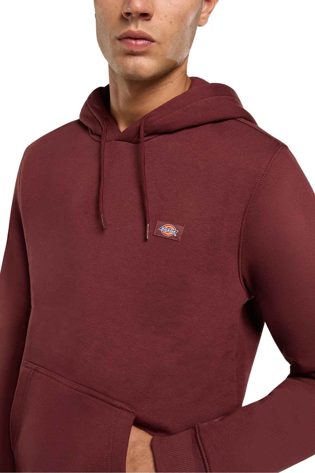 DICKIES - Felpa uomo Oakport con cappuccio-3